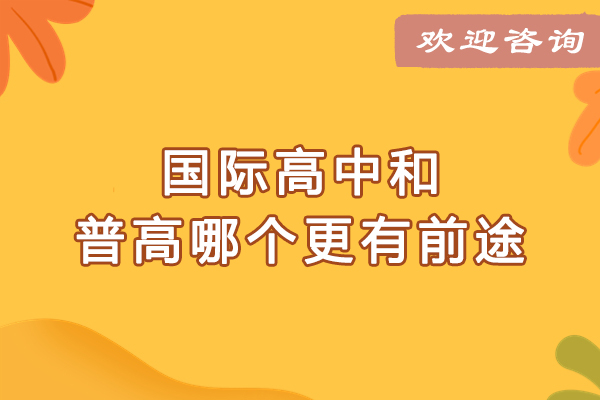 国际高中与普通高中对比解析：课程体系与升学路径深度解读