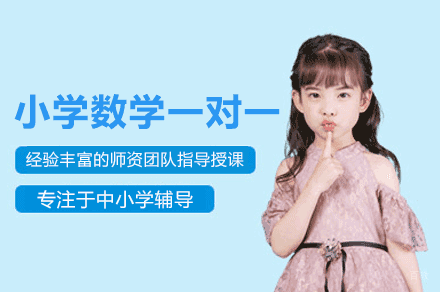 南昌小学数学精准辅导课程全解析
