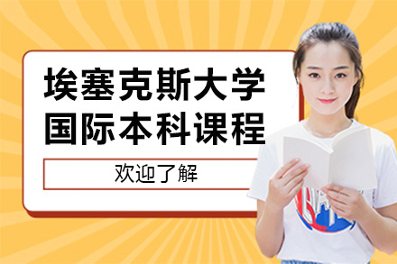 埃塞克斯大学国际本科课程深度解读