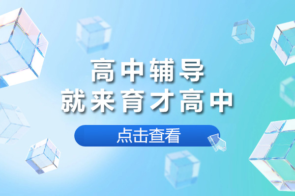 上海高中一对一辅导课程解析：育才教育如何突破学习瓶颈 