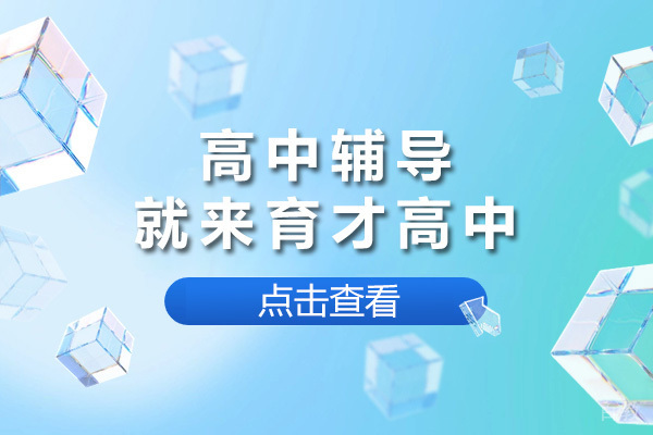 上海高中一对一辅导课程解析：育才教育如何突破学习瓶颈 