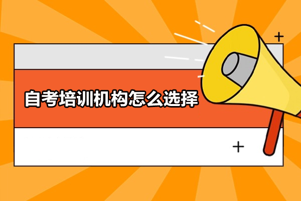 自考培训机构挑选指南：五大核心要素解析