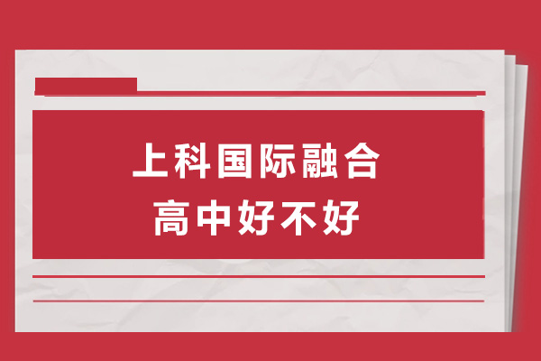 上科国际融合高中课程体系与升学路径深度解读 