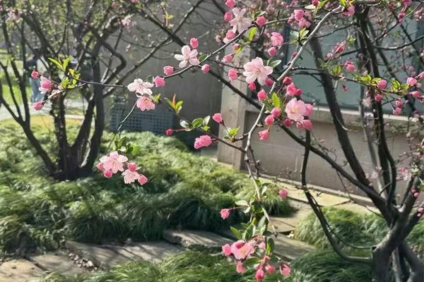 学校环境3