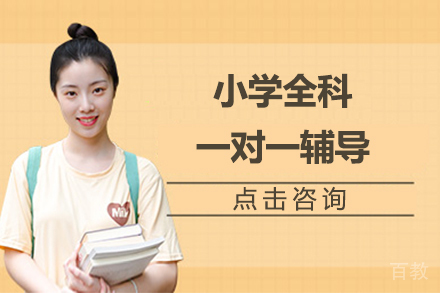 北京小学全科定制辅导课程深度解析