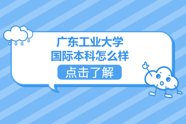 广东工业大学国际本科双学位项目深度解析