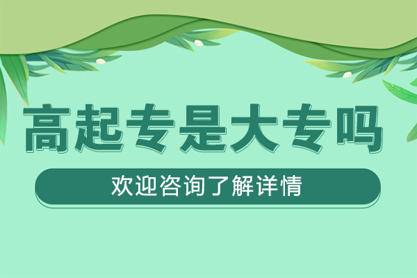 高起专学历全解析：大专教育的黄金跳板