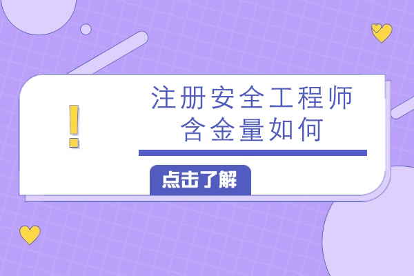深度解析注册安全工程师职业价值：政策红利与市场需求的黄金交叉 