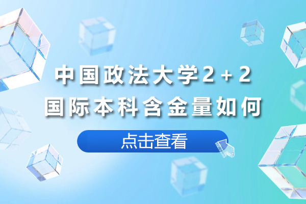 中国政法大学2+2国际本科解析：双学位路径与前景 