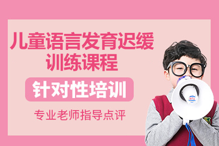 广州儿童语言康复训练课程全解析 - 专业师资个性化教学