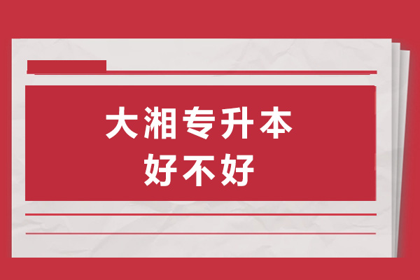 长沙大湘专升本真实评价：师资团队与教学体系深度解析 