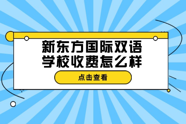 青岛新东方国际双语学校课程收费全解析 