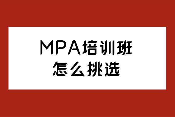 长春MPA培训机构挑选指南：5大维度精准择校 