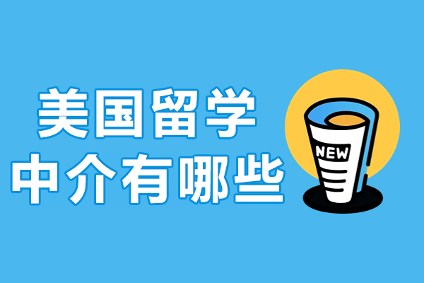 上海专业美国留学机构深度解析：服务流程与核心优势