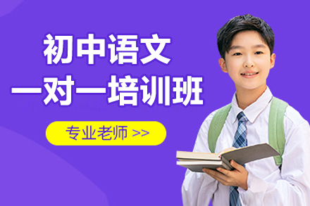 深圳初中语文一对一辅导提升方案|秦学教育定制化教学
