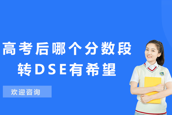 高考生转轨DSE备战指南：不同学术背景的升学路径解析