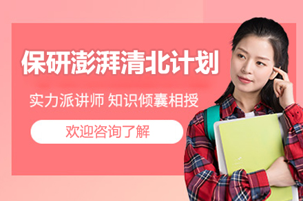 清北保研直通车：个性化冲刺方案深度解析