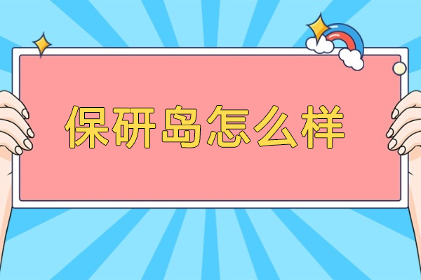 保研岛服务体系全解析：一站式升学规划专家