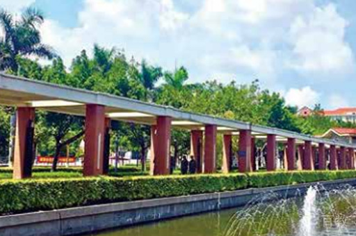 学校风景环境