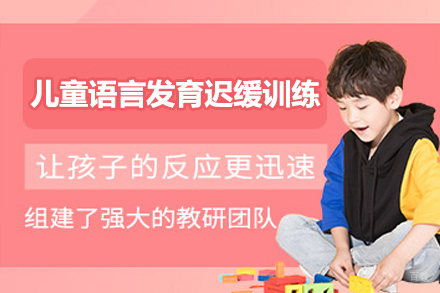 佛山语言发育迟缓儿童专项训练课程全解析