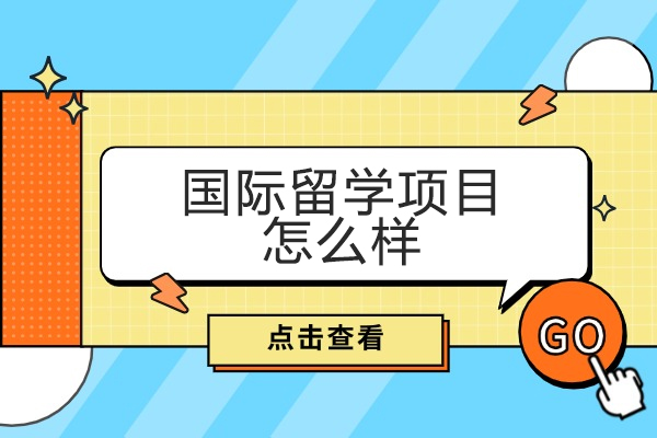 福州国际本科留学深度解析：欧亚坤教育特色课程全览 