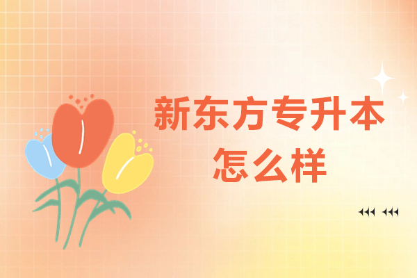 北京新东方专升本课程深度解析：教学优势与学习成效全揭秘 