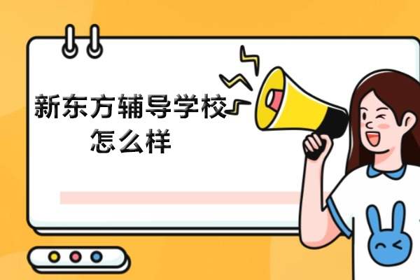 南京新东方辅导学校课程优势深度解析