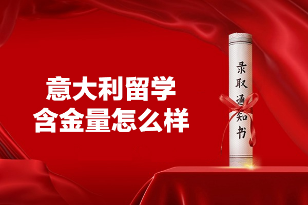 意大利留学含金量深度解析：教育优势与前景全透视