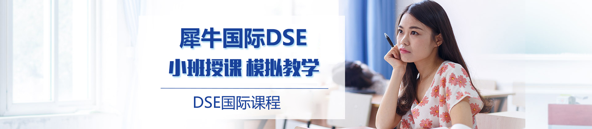 北京犀牛国际DSE课程