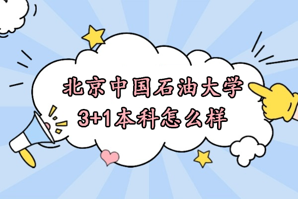 中国石油大学3+1国际本科项目深度解析：权威认证与升学优势