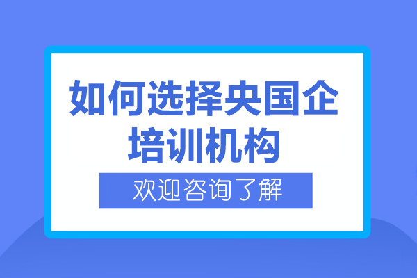 2024央国企求职培训全攻略：三大核心要素深度剖析 