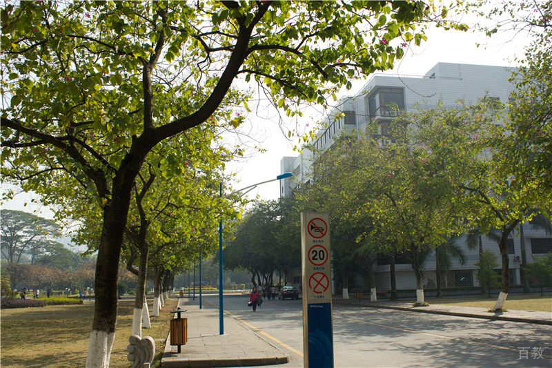 学校环境展示