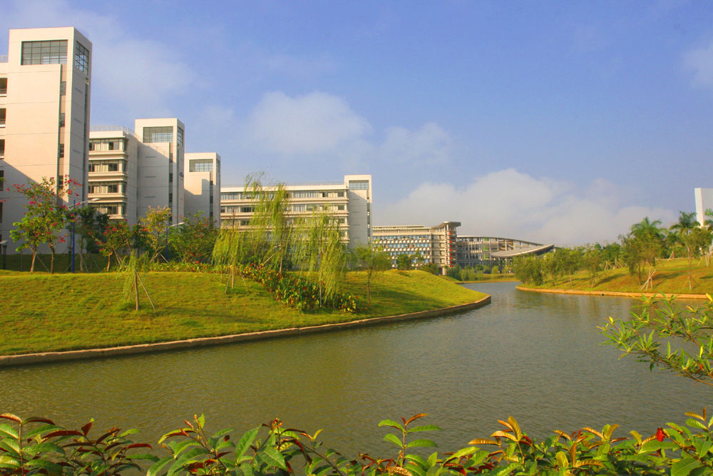 学校湖泊环境