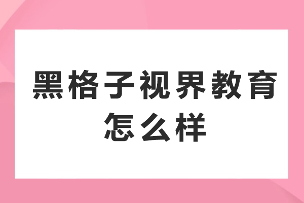 成都黑格子视界教育深度解析：教学质量与学员口碑双优 