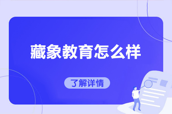深度解析藏象教育课程体系与教学创新模式 