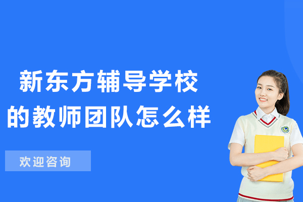 杭州新东方教师团队揭秘：师资的教学秘籍解析