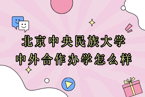 中央民族大学中外合作办学项目深度解析：双学位认证与国际化培养路径