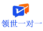 北京领世一对一
