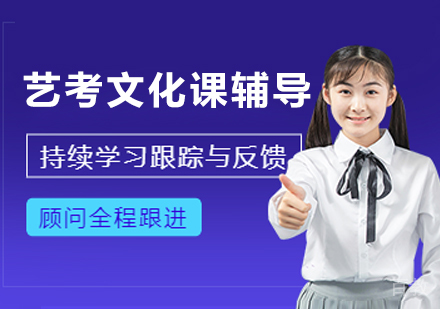 南京艺考文化课冲刺指南：高效提分方案解析