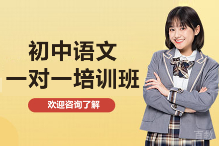初中语文个性化辅导全解析：从基础到中考的进阶之路