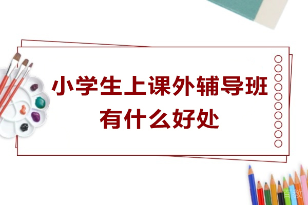 小学生课外辅导的五大核心价值解析 