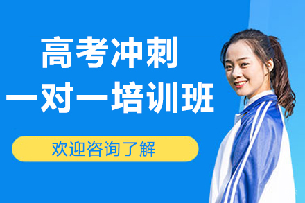 高考特训班1对1辅导方案解析：重点突破与提分策略