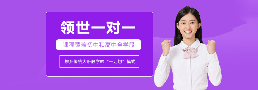 北京領世一對一
