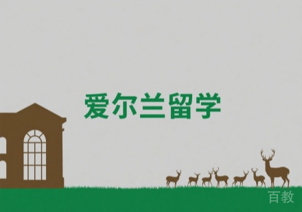 爱尔兰留学中介服务深度剖析：南京睿途留学个性化升学方案全解析