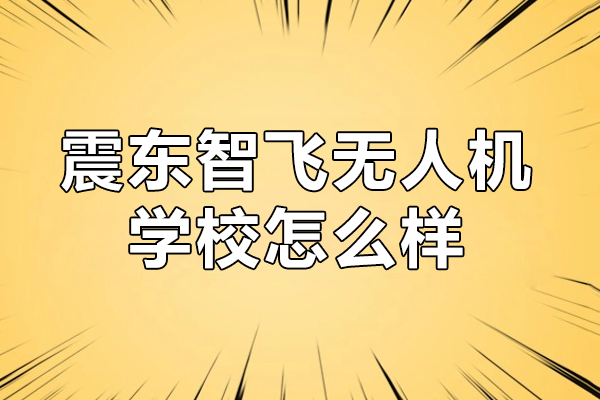 广州震东智飞无人机学校综合指南：领先的无人机教育平台