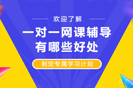 解锁学习潜能：一对一网课辅导的革新价值