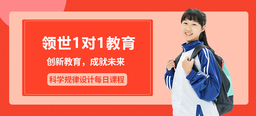 上海领世1对1