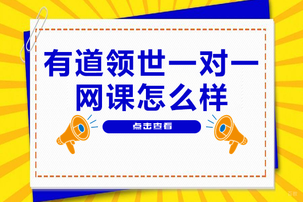 有道领世一对一网课深度评测：教学优势与学习价值解析