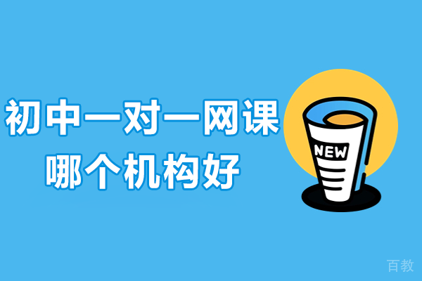 卓越初中一对一网课机构解析与推荐