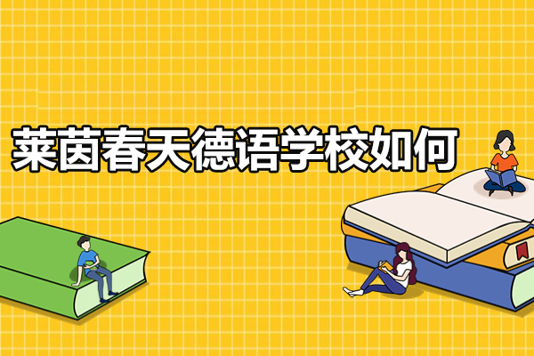 莱茵春天德语学校深度评测：课程体系与教学优势揭秘 